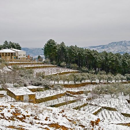 Апартаменти Quinta Soutelinho Саброза Екстер'єр фото